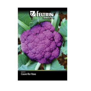 Semente Couve Flor Filipinas - Feltrin