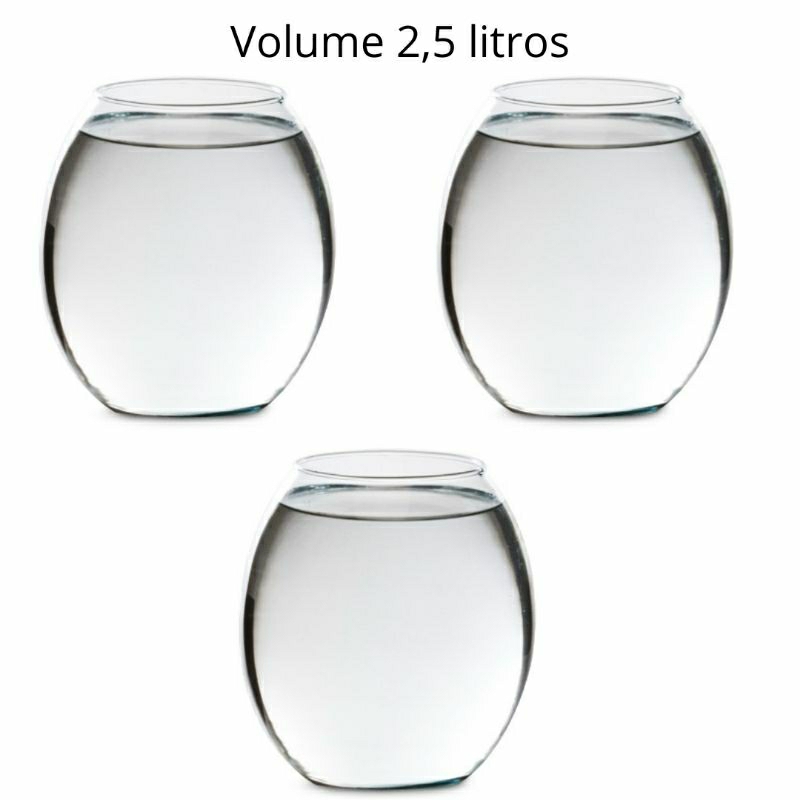 Kit 3 Vasos Barrica 2,5 litros Vidro Transparente Enfeites Decoração Estética Mesa casamento