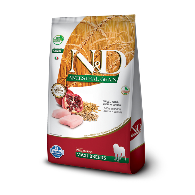 N&D Ancestral Grain Cães Adultos Raças Grandes Frango 10,1kg - Pets