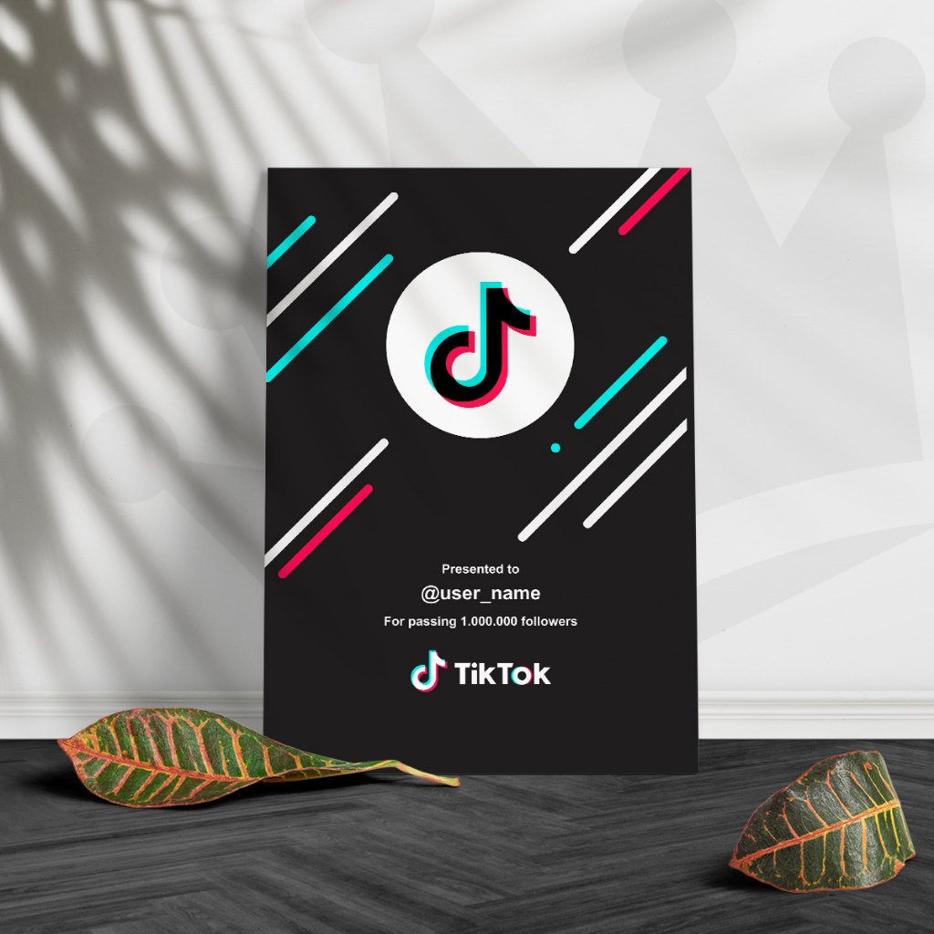 Placa Comemorativa Seguidores TikTok Personalizado - Tamanho 19x28cm - Redes Sociais