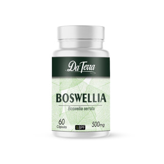 BOSWELLIA SERRATA (OLIBANO VERDADEIRO) 500MG ANTIOXIDANTE MILENAR
