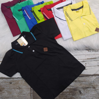 Camisa Gola Polo Infantil Menino Varias Cores Tamanho 02 ao 08