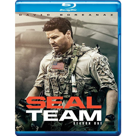 Dvd Seal: Guia Completo e Onde Comprar | BuscaProdutos