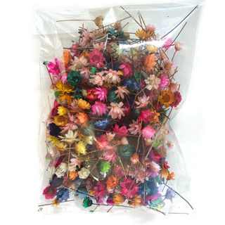 Flores Desidratadas - Florzinha Sempre Viva Para Bijuteria