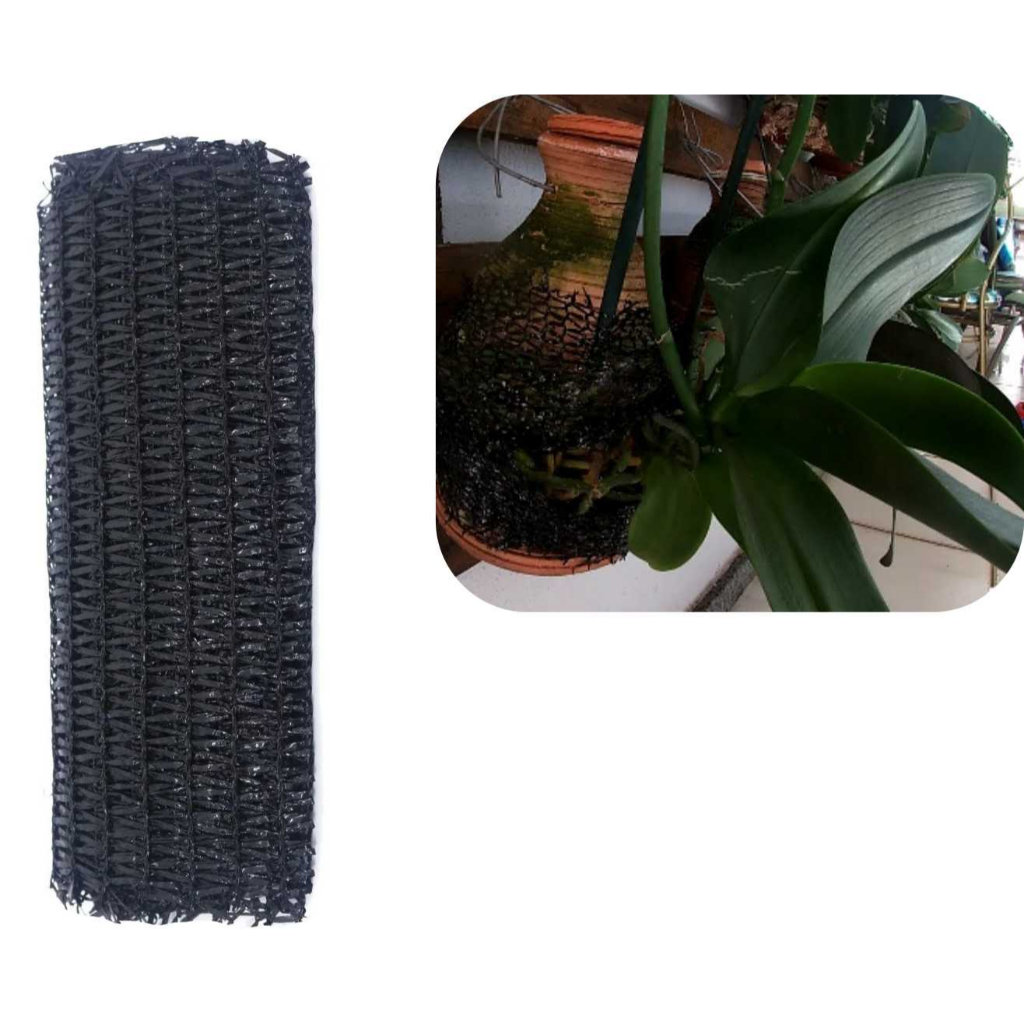 3 Fixador de Orquídeas 4 metros x 25cm Plantas Trepadeiras Flores Jardim em Oferta na Shopee