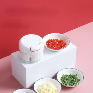 Mini Triturador Espremedor De Alho Processador Manual De Alimentos Com 2 Lâminas