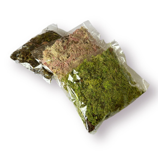 Kit com 5 Pacotes de Musgo para Artesanato - Cada Pacotinho com 20g em Oferta na Shopee