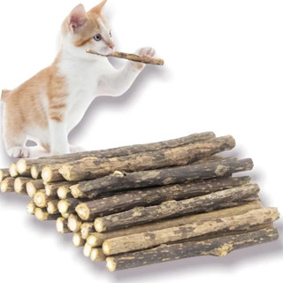 Kit 20 Unidades Matatabi Varas De Catnip Limpa Dentes