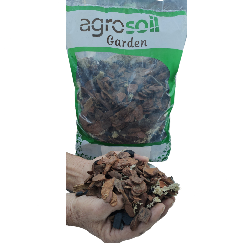 3 Litros Substrato Completo para Orquídeas Musgo Casca de Pinus Carvão Triturado