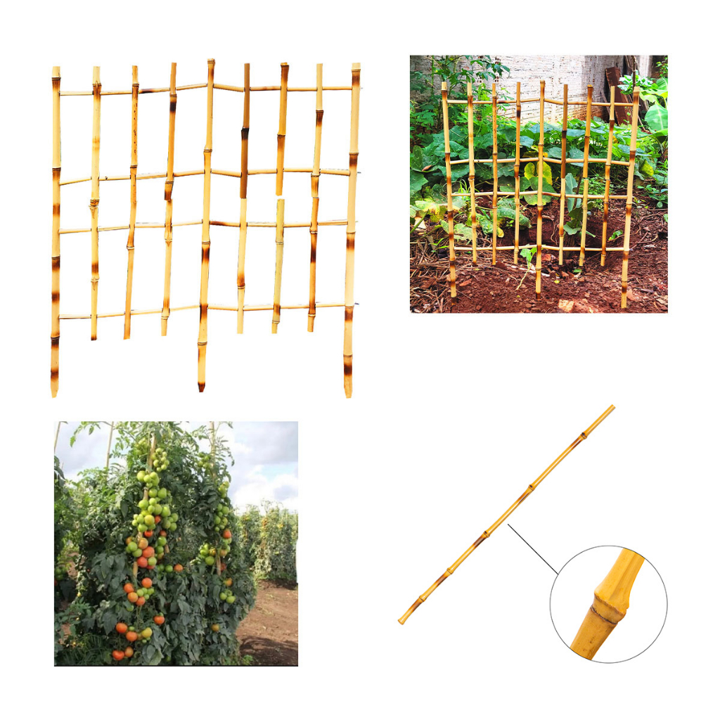Kit Suporte Vertical Trepadeira 50x65 Para Jardim Plantas Horta Varanda Folhagem Ecológica E Sustentável De Bambu Natural + Tutor Para Plantas 45cm