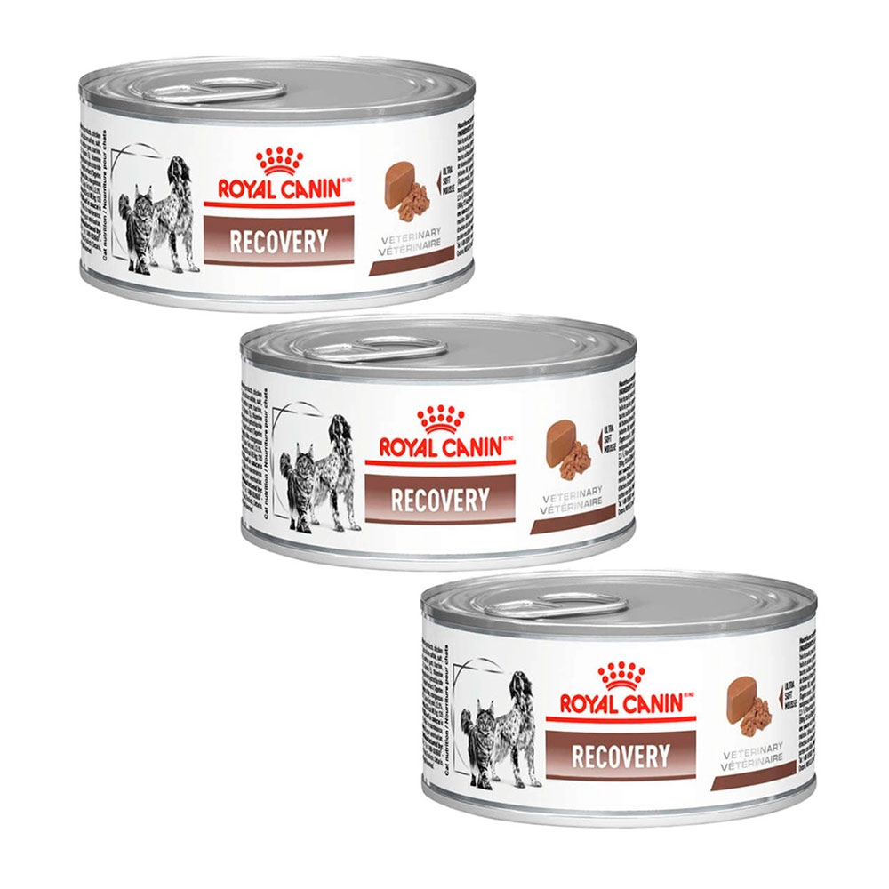 Caixa 3un Ração Úmida Royal Canin Veterinary Recovery Wet 195g em Oferta na Shopee