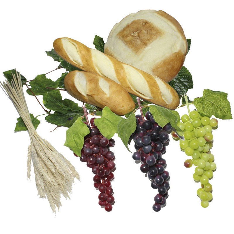 Arranjo Folha Trigo Decoração: Onde Comprar | BuscaProdutos