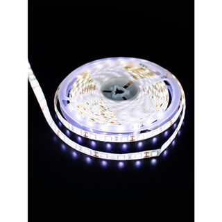 Fita LED Branco Frio com Silicone 5050W