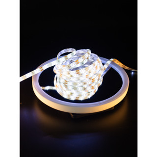 Fita de Led Branco Frio c/ Revestimento de Silicone