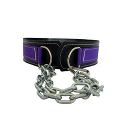 Cinto Cinturão Musculação Para Exercício Agachamento e Levantamento De Peso Crossfit Roxo