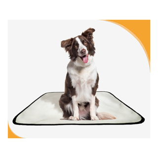 Tapete Higiênico Lavável para cachorro, 1 M, tam 60 x 80 cm em Oferta na Shopee