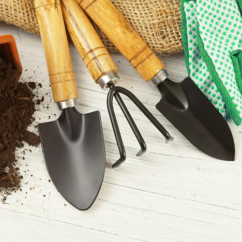 Kit Jardinagem 3 Peças Conjunto Mini Ferramentas Jardim Vaso Planta Horta em Casa Cultivo