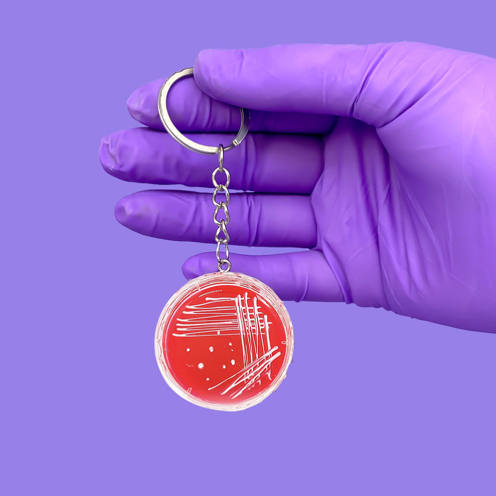 Chaveiro Placa de Petri Ágar Sangue