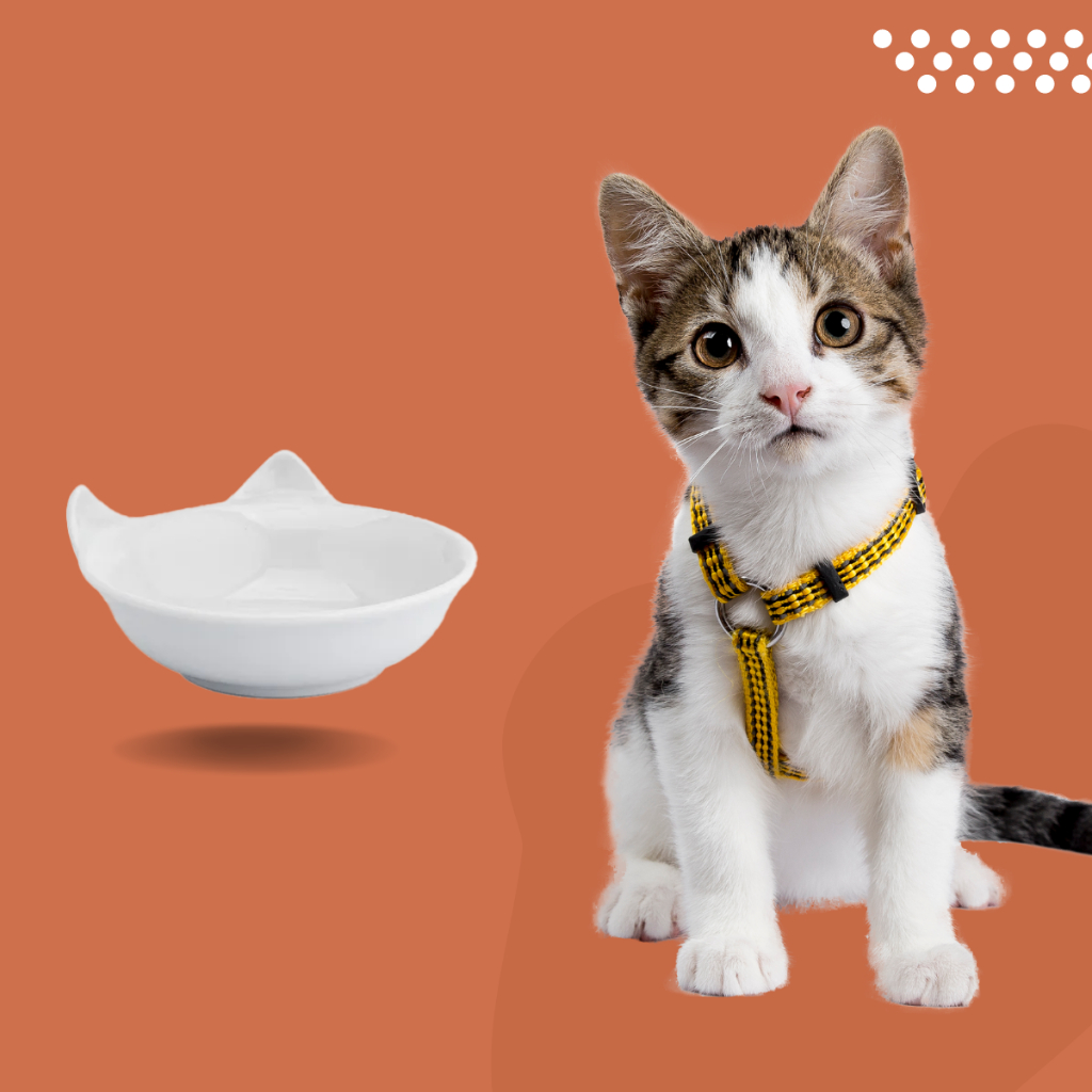 Tigela Prato P/ Gatos Pet Comedouro Porcelana Gato Promoção em Oferta na Shopee