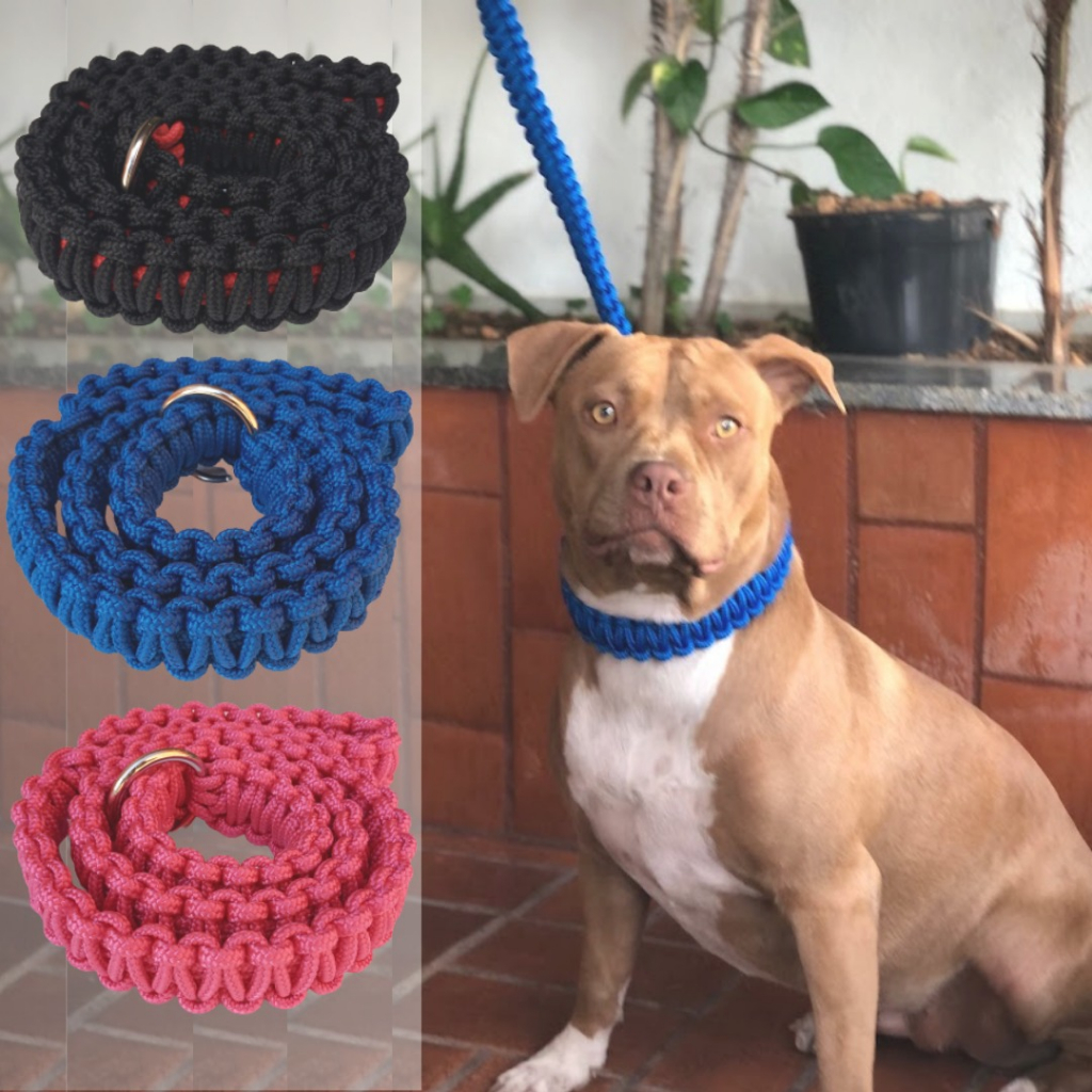 Guia Artesanal Pet para Cachorro Coleira Enforcador Pitbull Unificada Cães Médio Grande Trançada tripla Pitmonster Bully