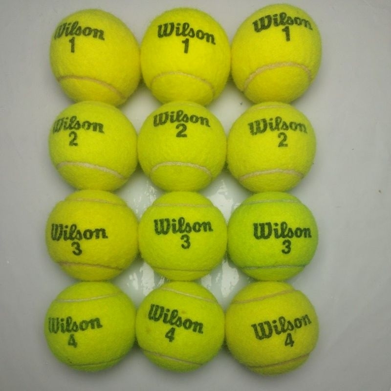 12 bolinhas bolas de tênis Wilson seminovos para treinar com Pets e Treino Iniciante de Tênis