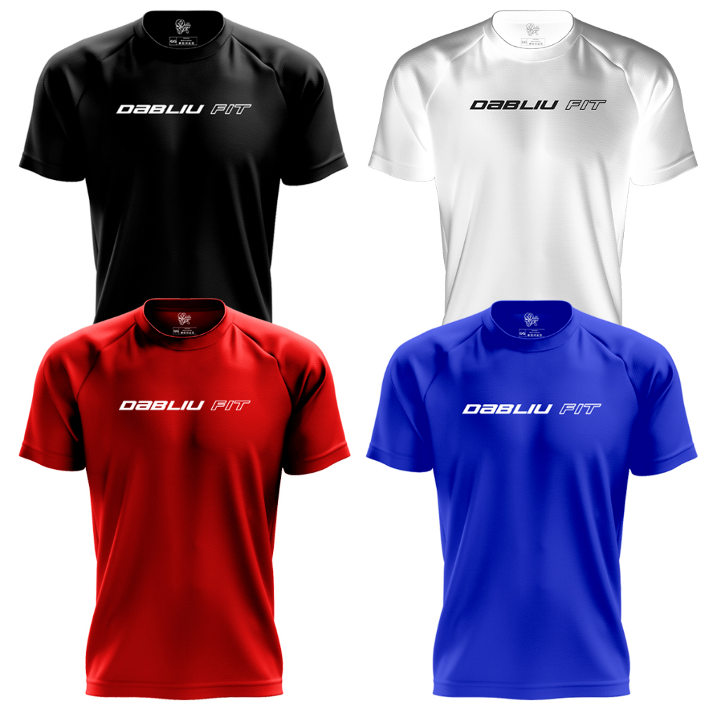 Kit 4x Camisetas Treino Dry Fit Coleção Minimalista lançamento Dabliu Fit