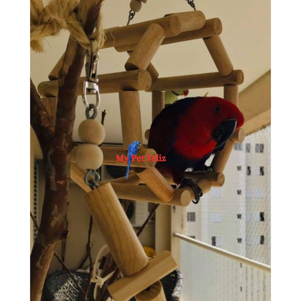 Brinquedo para papagaio - brinquedo para ararajuba - brinquedo para lóris - balanço papagaio - esfera papagaio natural