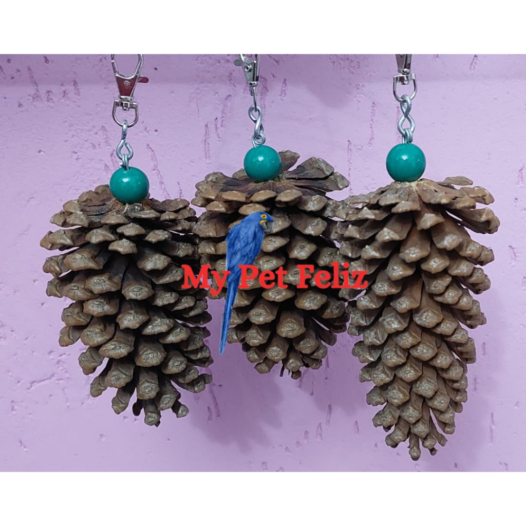 Brinquedo Diversão para Aves – Kit de Pinha para Calopsitas e mais