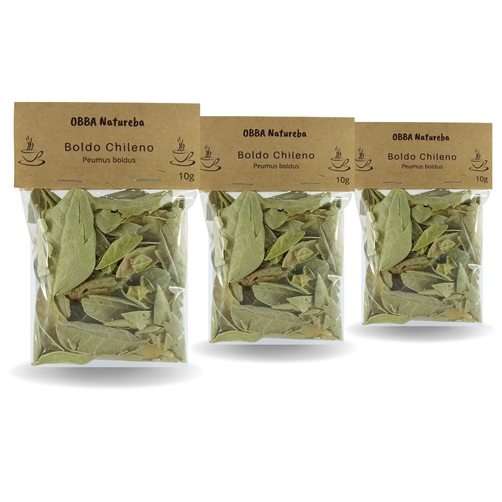 Kit 3Chás Boldo Chileno - Verdadeiro Eumus Boldus Molina em Oferta na Shopee
