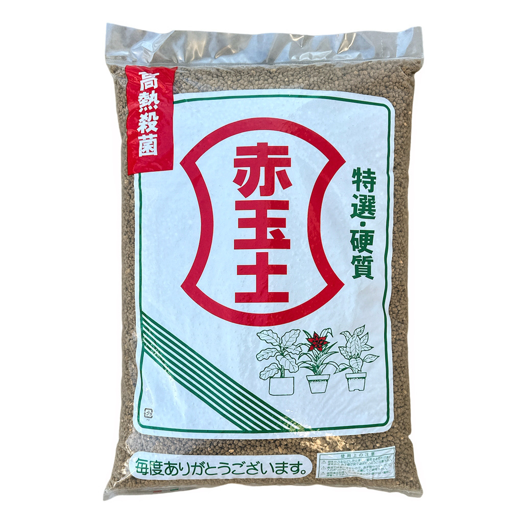 AKADAMA JAPONESA Substrato vulcânica para bonsai 4 Litros suculentas orquídeas rosas do deserto LITHOPS AQUARIO