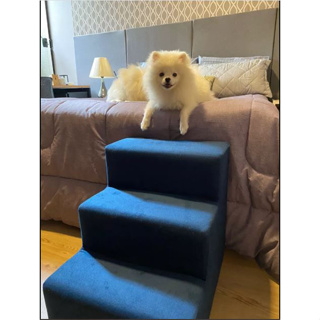 Escada para Pet 3 Degraus Cachorro e Gato - Campos Decor em Oferta na Shopee