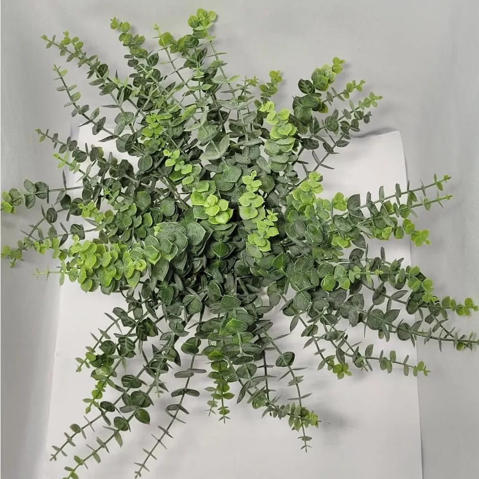 Matinho de folha Eucalipto