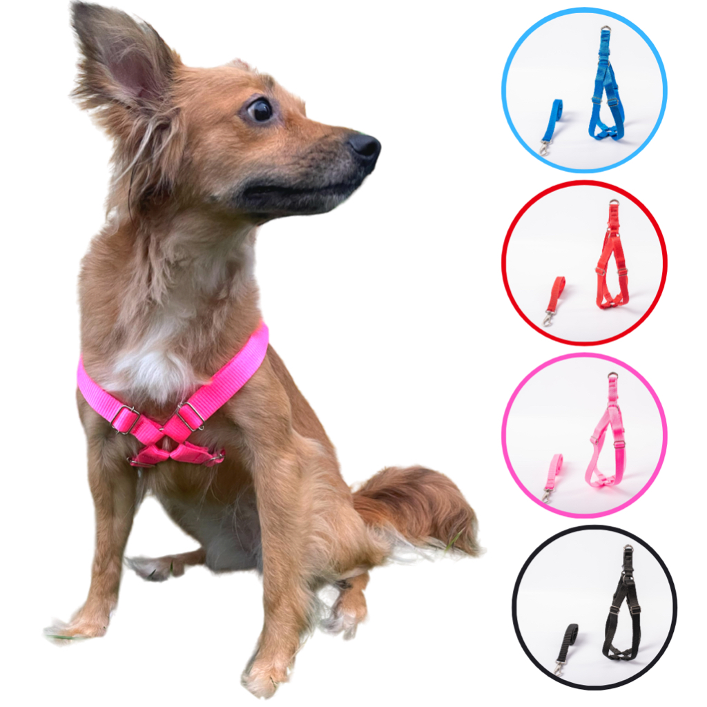 Coleira Peitoral Americano Para Cachorro + Guia Ajustável Raças Pequenas e médias