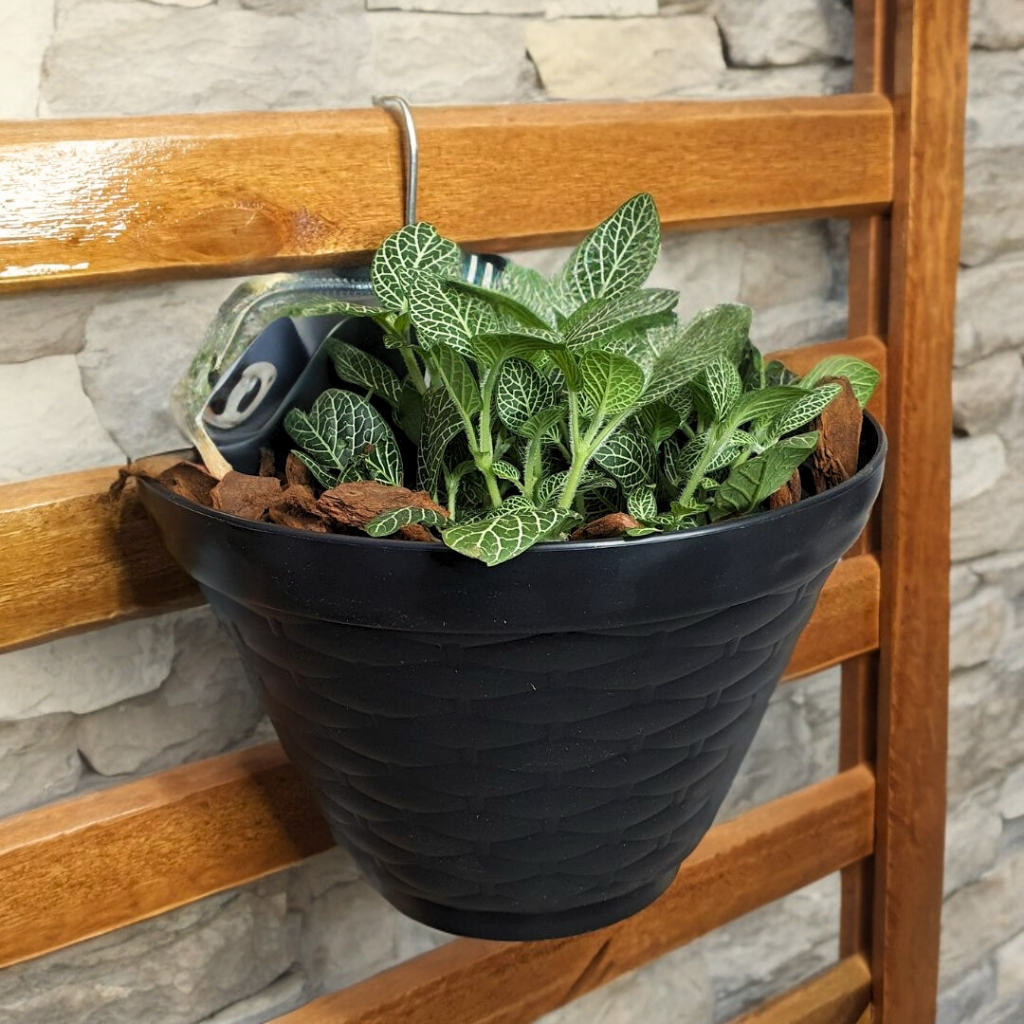 Vaso de Parede para Plantas 20cm de Plástico Preto Vertical Jardim Horta
