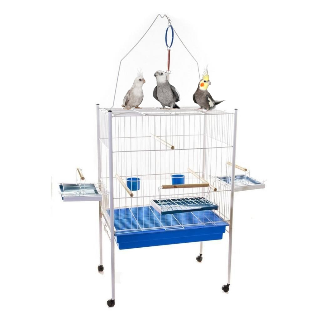 Viveiro Para Calopsita Red Rumped Ring Neck Loris  Gaiola Playground Explendor Triplex G113127