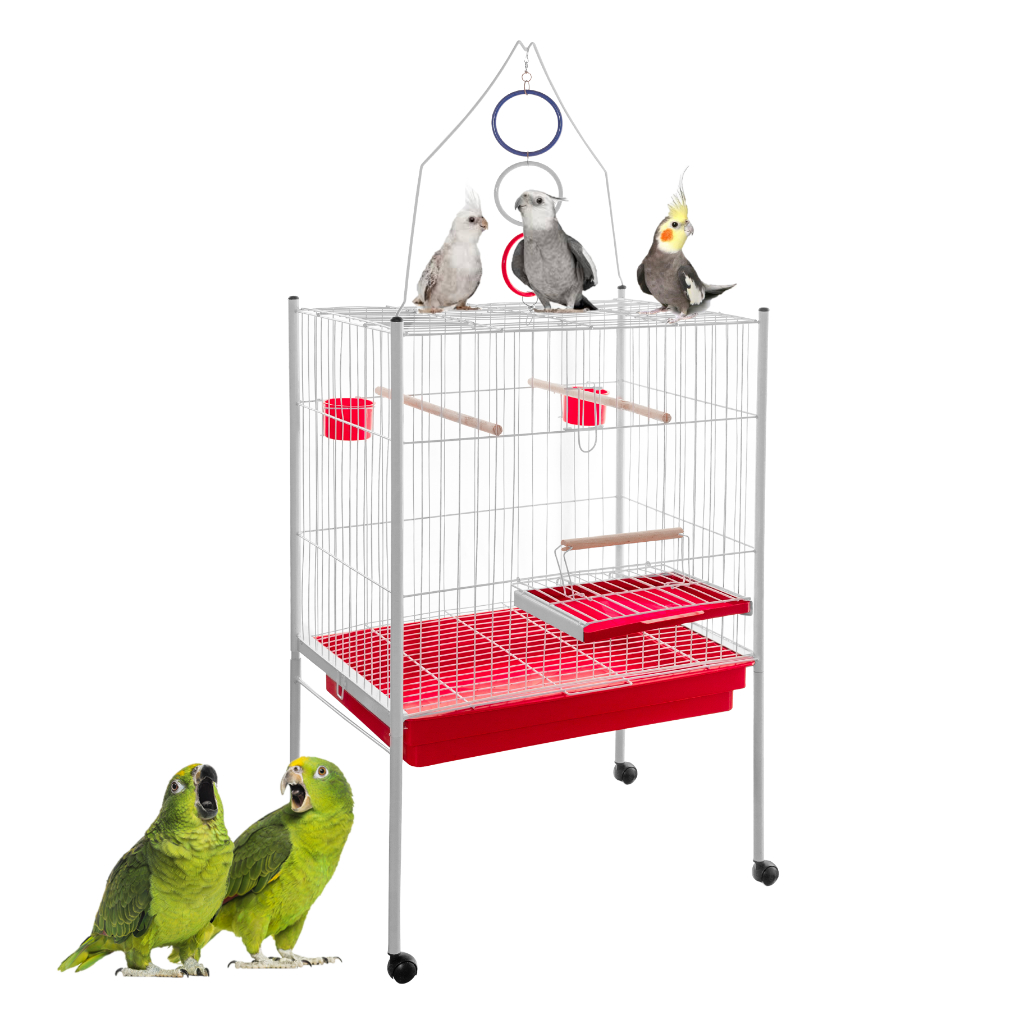 Viveiro Para Calopsita Cacatua Papagaio Gaiola Playground Explendor Duplex G113124