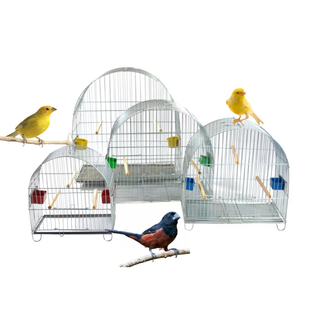 Conjunto de 4 Gaiolas Arco Arame Galvanizado Para Pássaros Aves Pequena Canário Bicudo Tarin Coleira G37