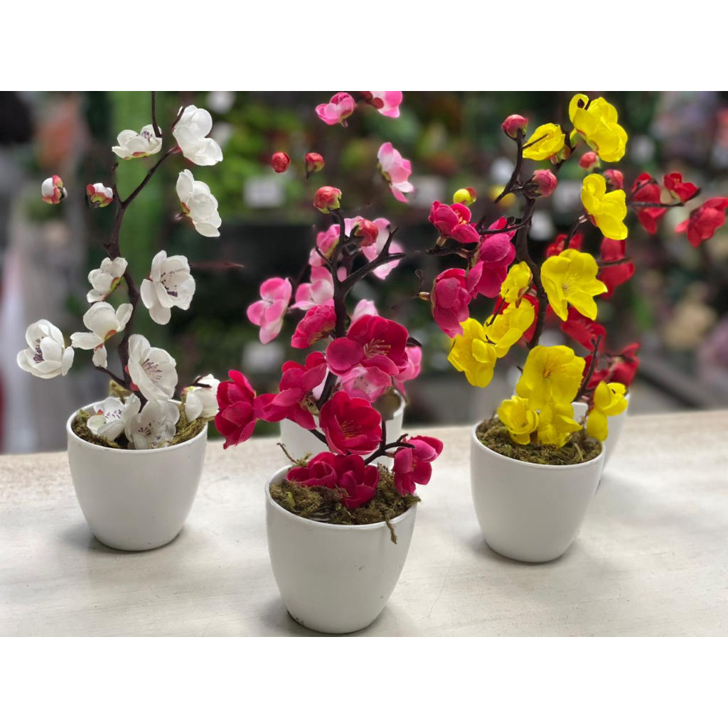 Vaso Arranjos Mini Cerejeira Artificial  c /vaso, argila, musgo Ideal para decorações de mesa, banheiro em Oferta na Shopee