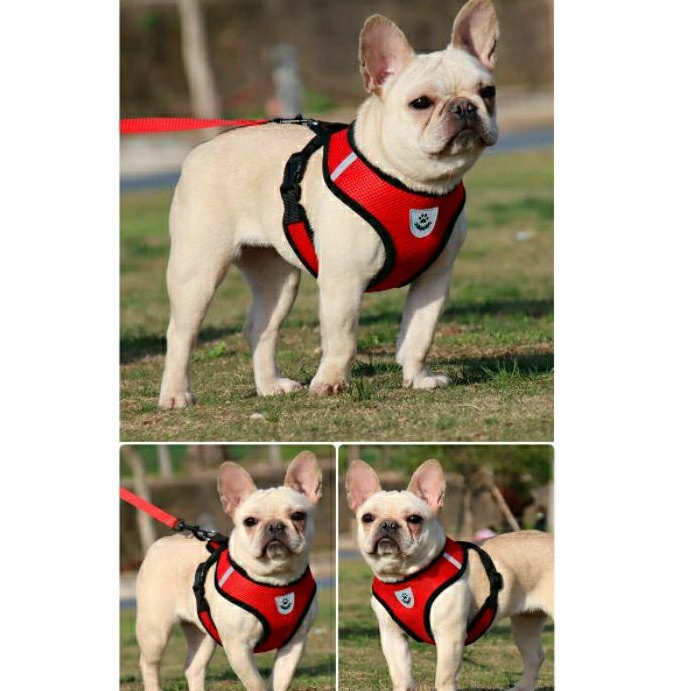 Peitoral Com Guia p/ Cachorro Cães Gatos Coelhos Regulável Confortável Coleira Pet Ajustável Pequeno em Oferta na Shopee