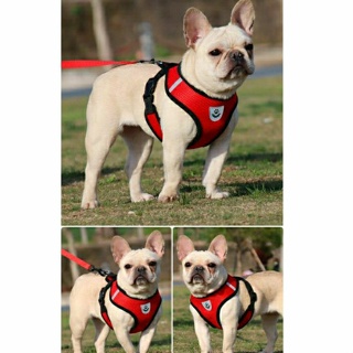 Peitoral Com Guia p/ Cachorro Cães Gatos Coelhos Regulável Confortável Coleira Pet Ajustável Pequeno em Oferta na Shopee