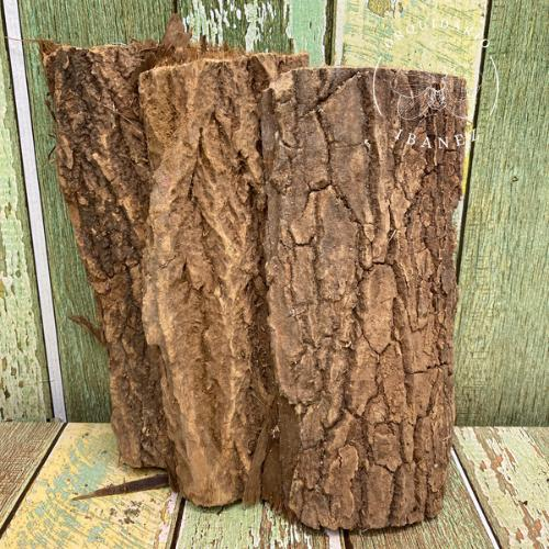 Casca de Peroba para orquideas 3 unidades em Oferta na Shopee