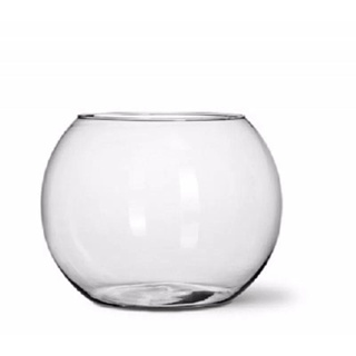 Vaso Aquário redondo de vidro 2,8 L decorativo em Oferta na Shopee