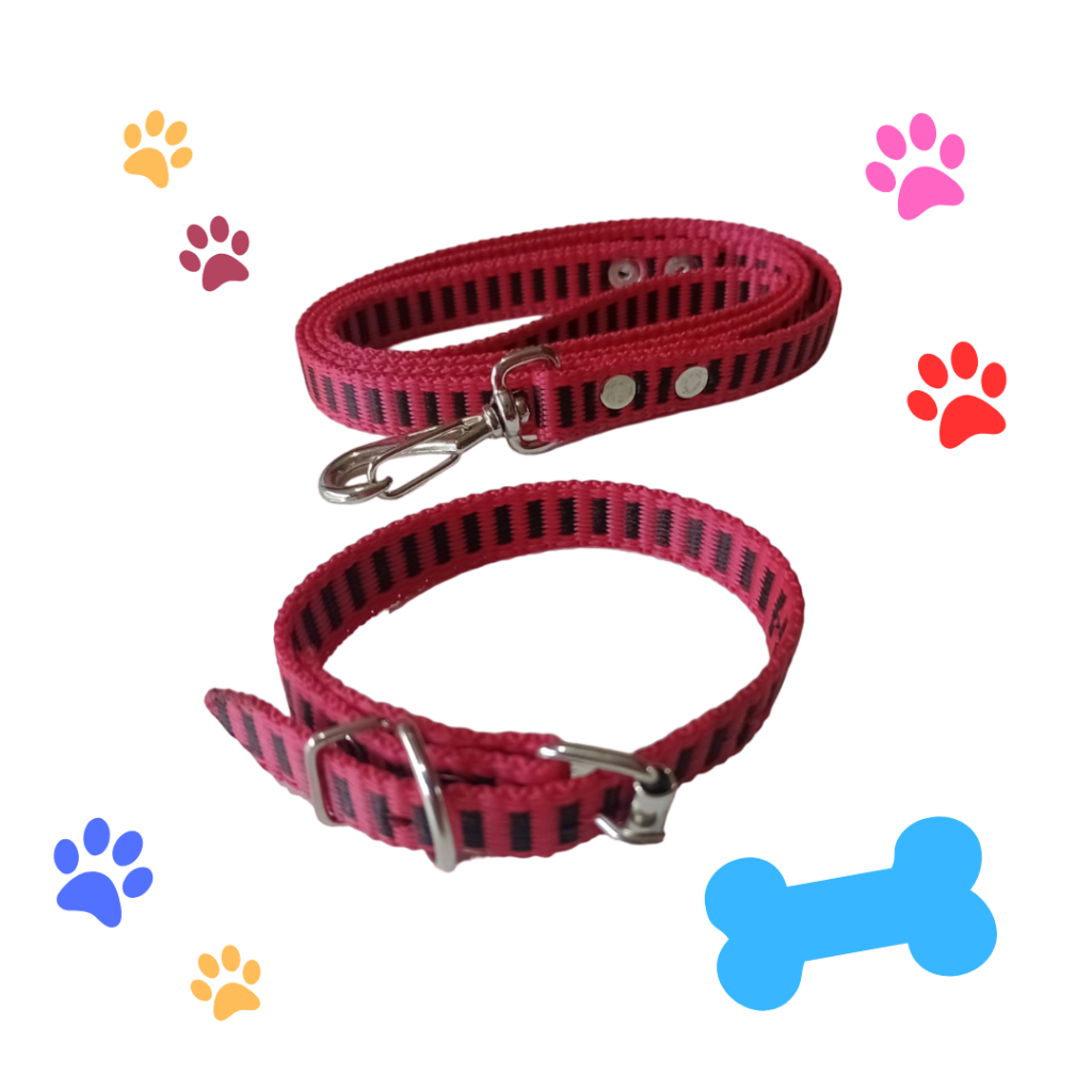 Conjunto de Passeio: Coleira + Guia 2 Metros para Cachorro Pequeno Super Oferta