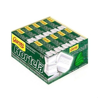 Pastilha Forte 40un Garoto Hortela