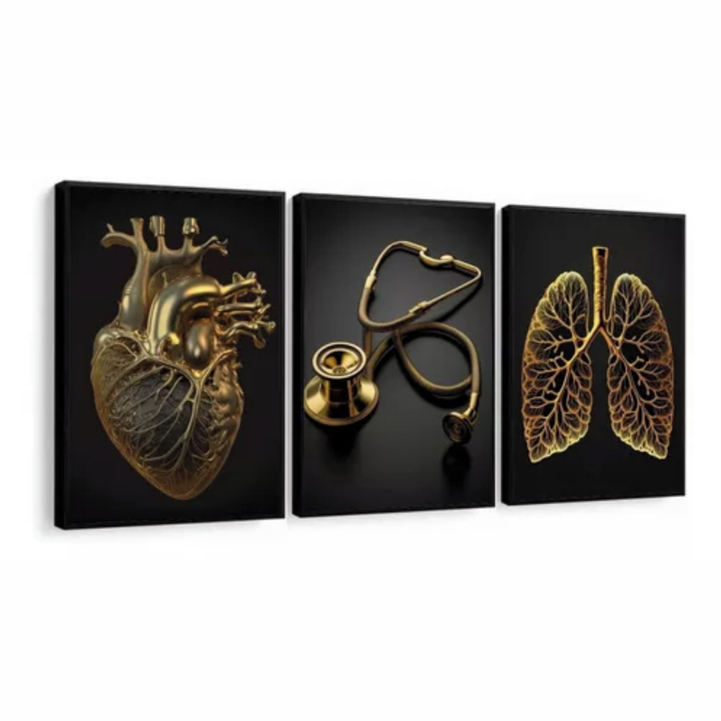 Quadro decorativo 3 peças 40x60 profissão médicos Anatomia medicina decoração para consultório quarto sala