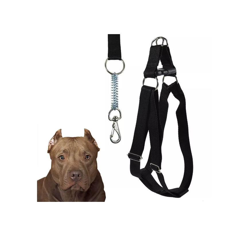 Cão Fila: Guia Completo e Onde Comprar | BuscaProdutos