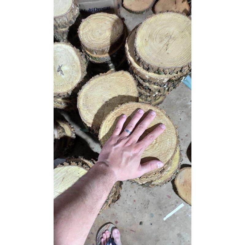 Bolacha de Madeira 18 cm KIT 5 UNIDADES base tronco madeira jardim mesa