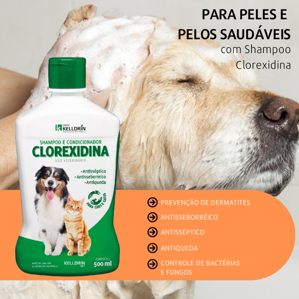 Shampoo 5 Em 1 Clorexidina Dermatites Antiqueda P/ Cachorro Tratar alergia cachorro e gato Tratar queda de pelo cachorro e gato antipulgas anticarrapatos