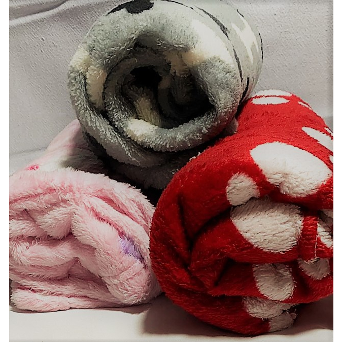 MANTINHA PET DE MICROFIBRA - NESSE INVERNO AQUEÇA SEU CÃOZINHO, SEU GATINHO... em Oferta na Shopee