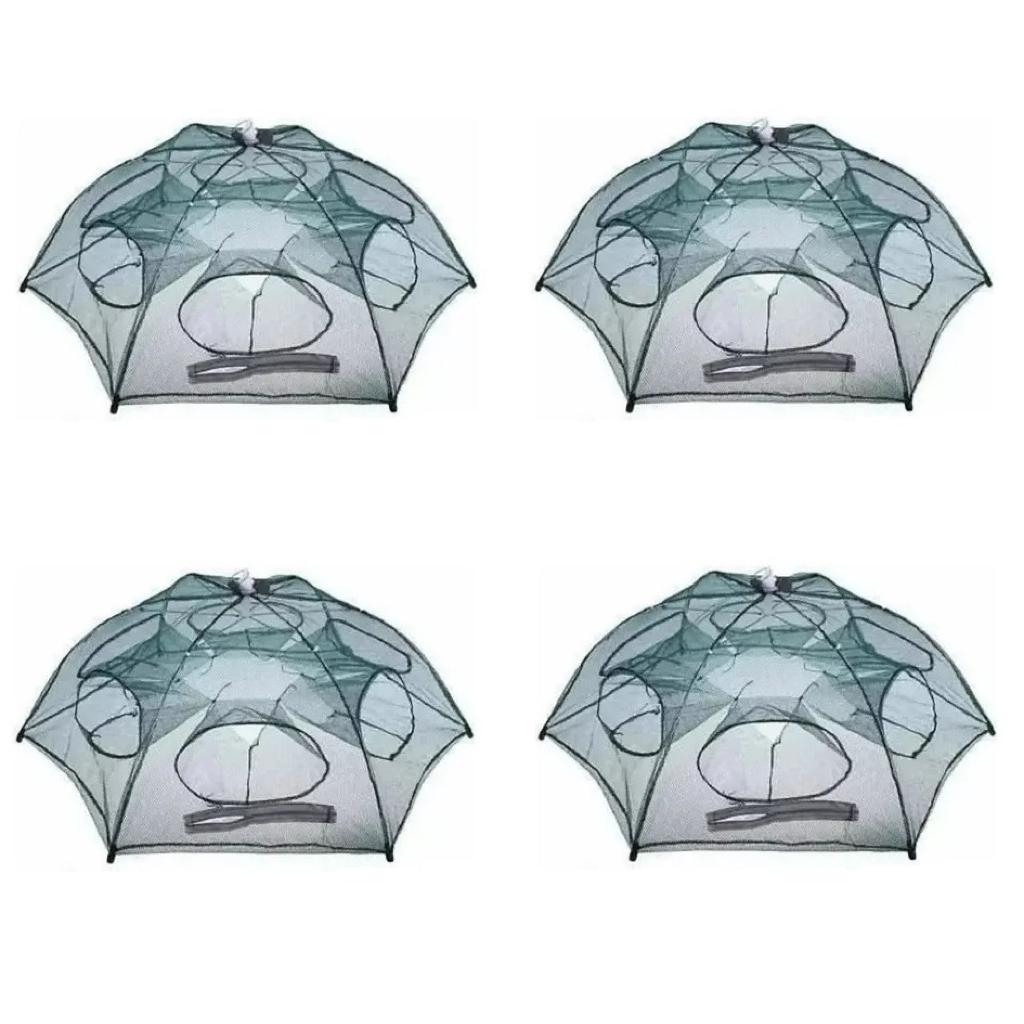 Alevinos de Lambari: Onde Comprar | BuscaProdutos